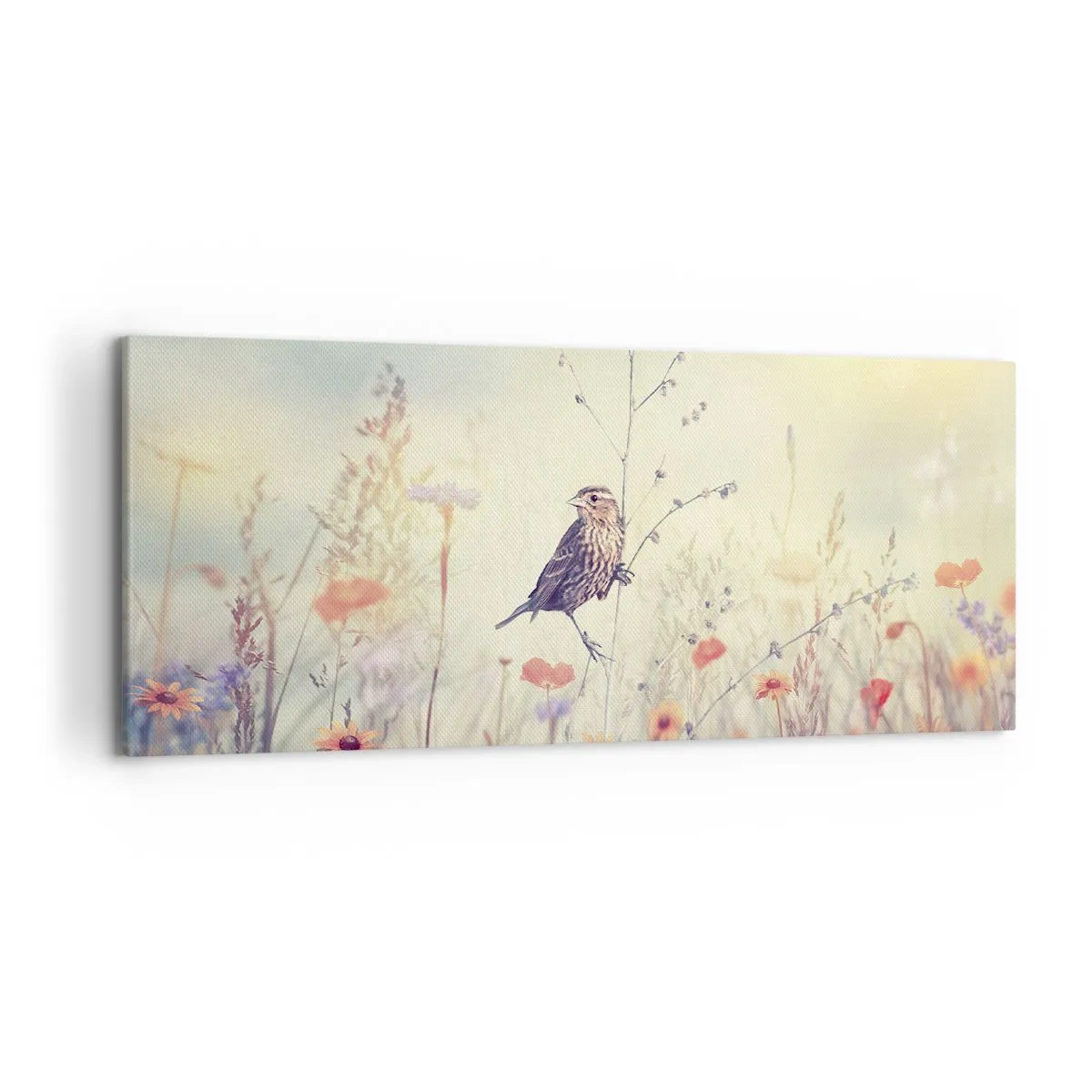 Bild auf Leinwand - Leinwandbild - Ein Vogel vor dem Hintergrund einer bunten Wiese in Pastellfarben - 120x50cm - Vogelporträt mit einer Wiese im Hintergrund - Moderne Wanddekoration für Wohnzimmer und Schlafzimmer ARTTOR