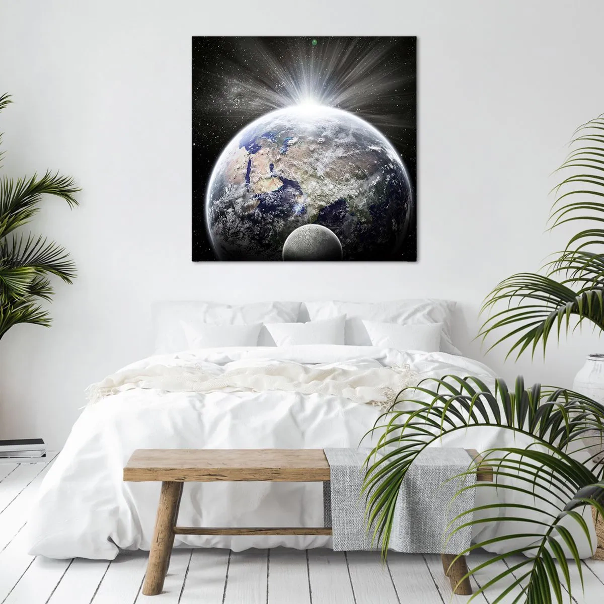 Bild auf Leinwand - Leinwandbild - In voller Pracht - 40x40 cm