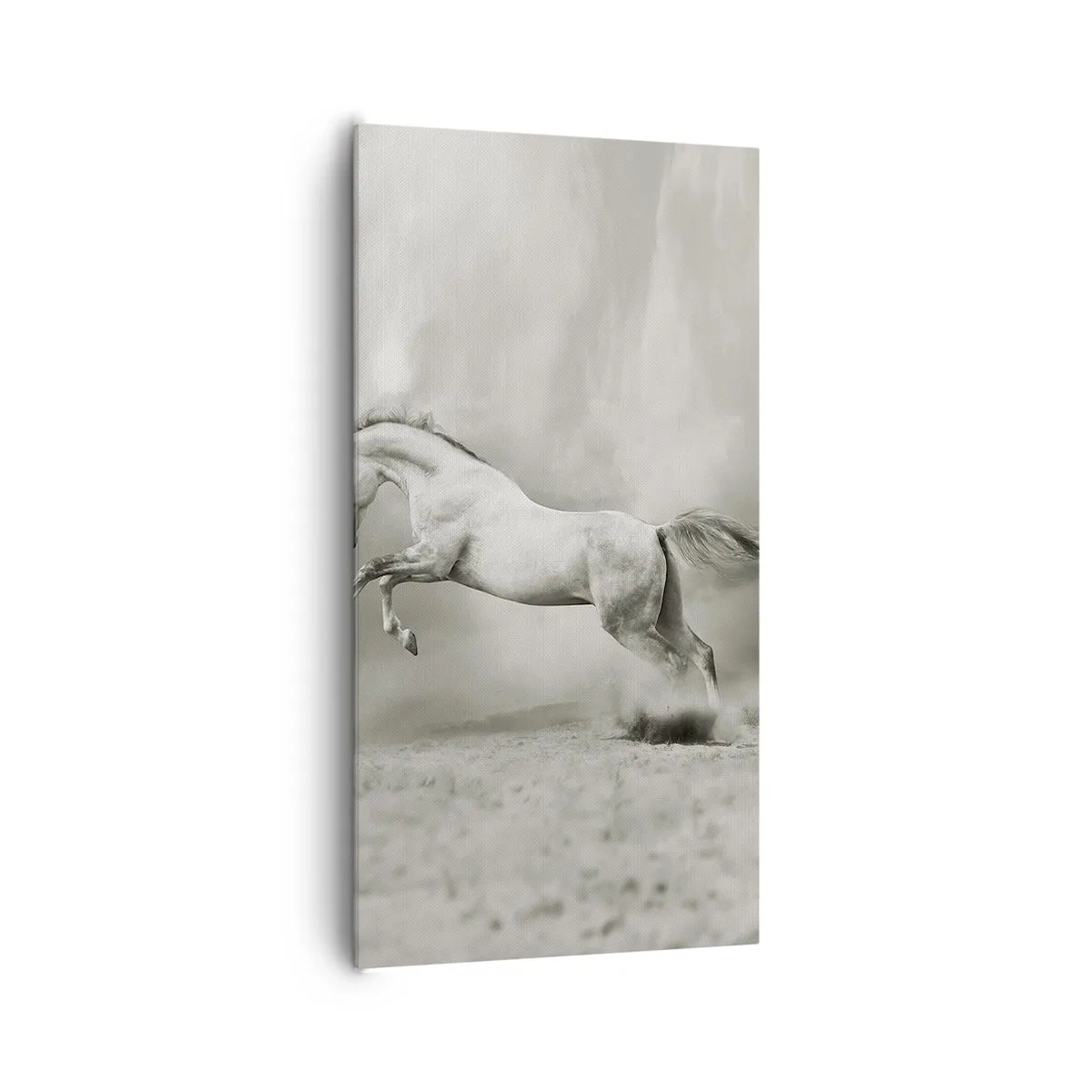 Bild auf Leinwand - Leinwandbild - Zwischen Aufwachen und Schlafen - 65x120 cm