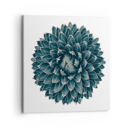 Bild auf Leinwand - Leinwandbild - Stern der Wüste - 70x70 cm