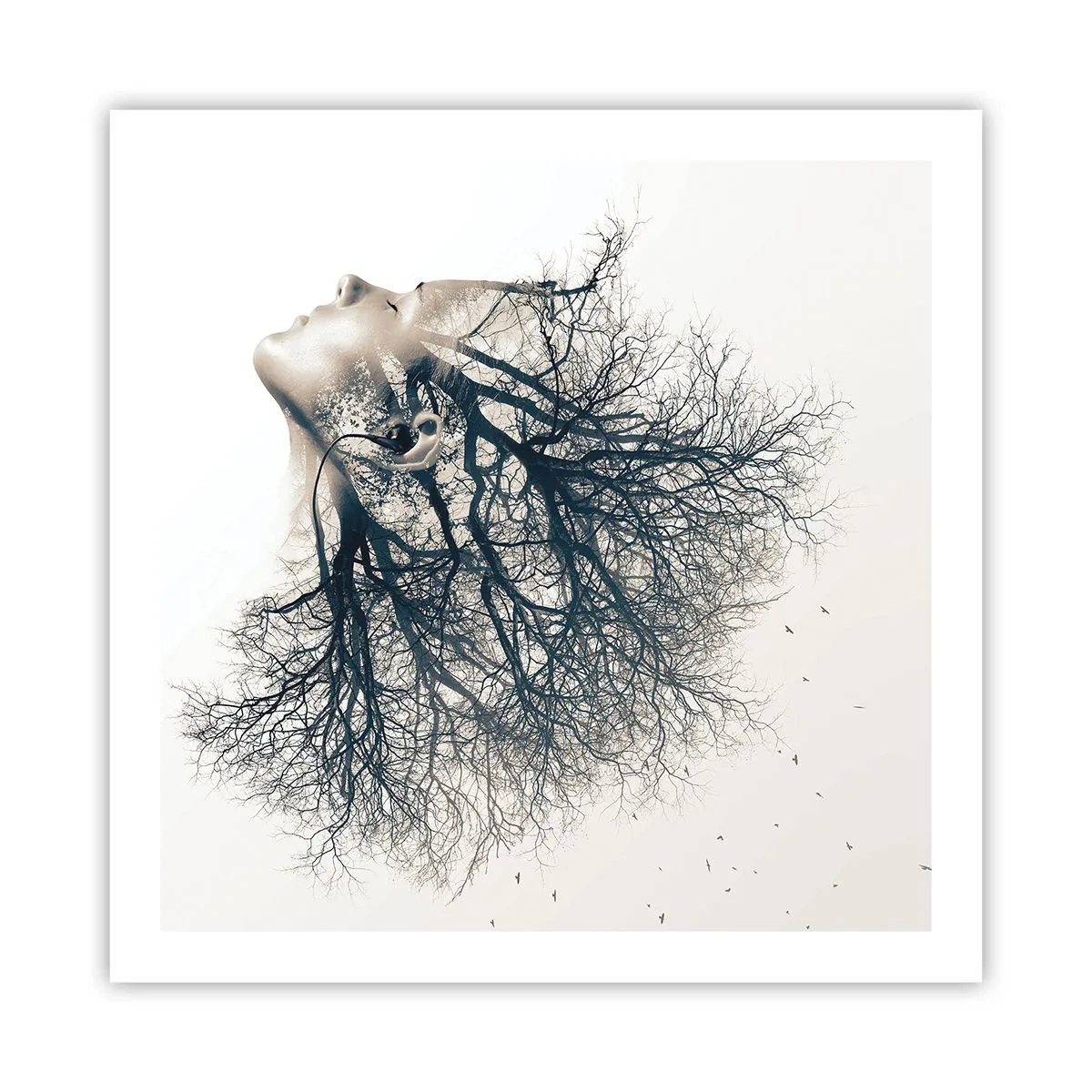 Poster - Dem Rauschen der Bäume lauschen - 60x60 cm