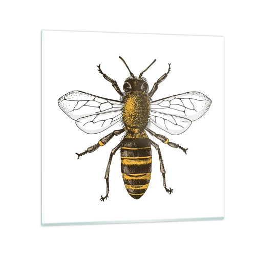 Glasbild - Bild auf glas - Schön und gut - 30x30 cm