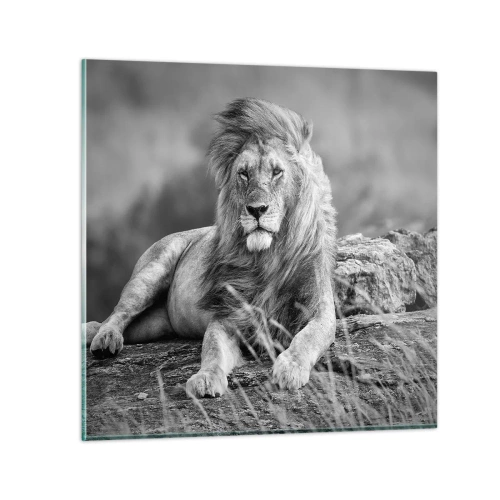 Glasbild - Bild auf glas - Königliche Siesta - 70x70 cm