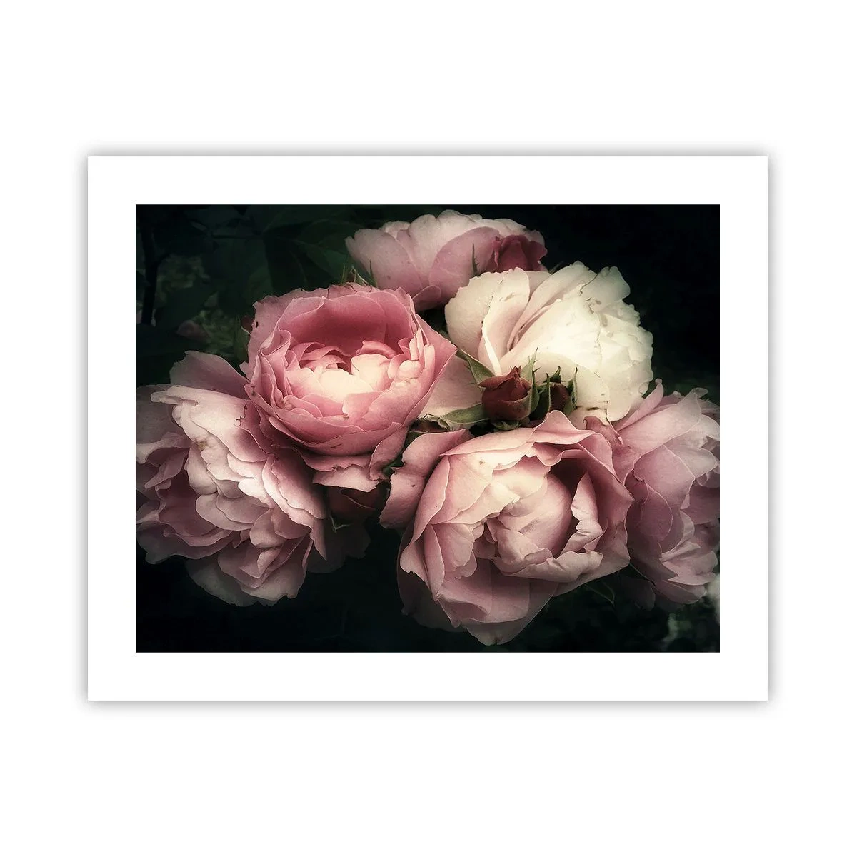 Poster - Der Charme der Belle Epoque - 50x40 cm