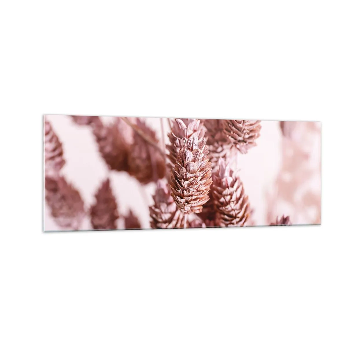 Glasbild - Bild auf glas - Eine Nahaufnahme der zarten rosa Ähren von Ziergräsern - 140x50cm - Scheinbar unauffällig - Moderne Wanddekoration für Wohnzimmer und Schlafzimmer ARTTOR