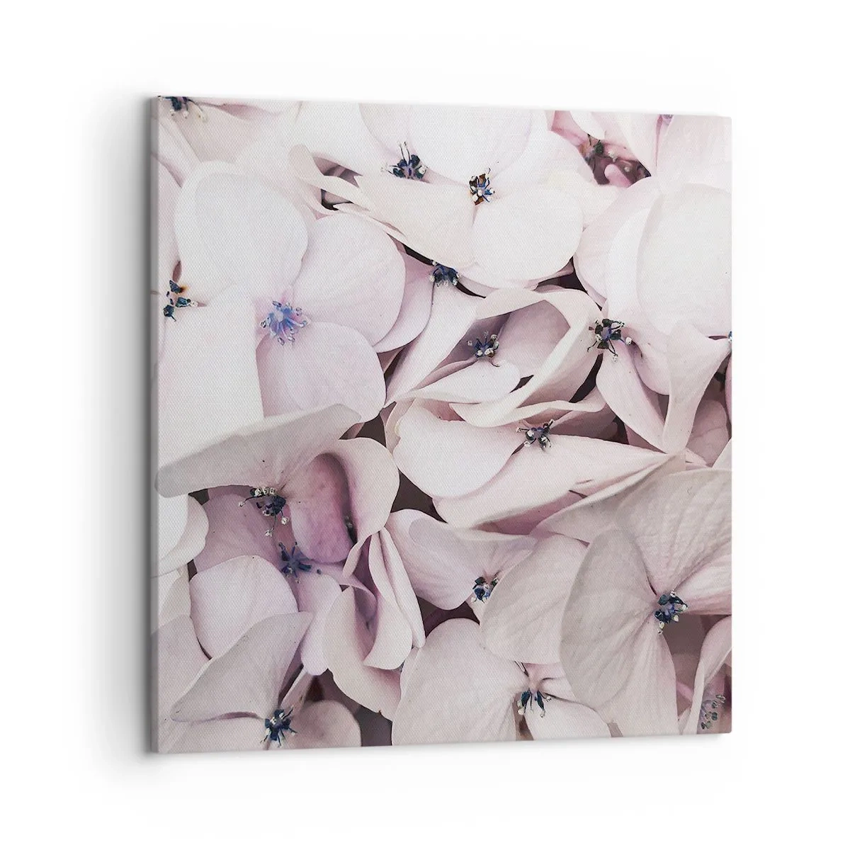 Bild auf Leinwand - Leinwandbild - In einer Blumenflut - 50x50 cm