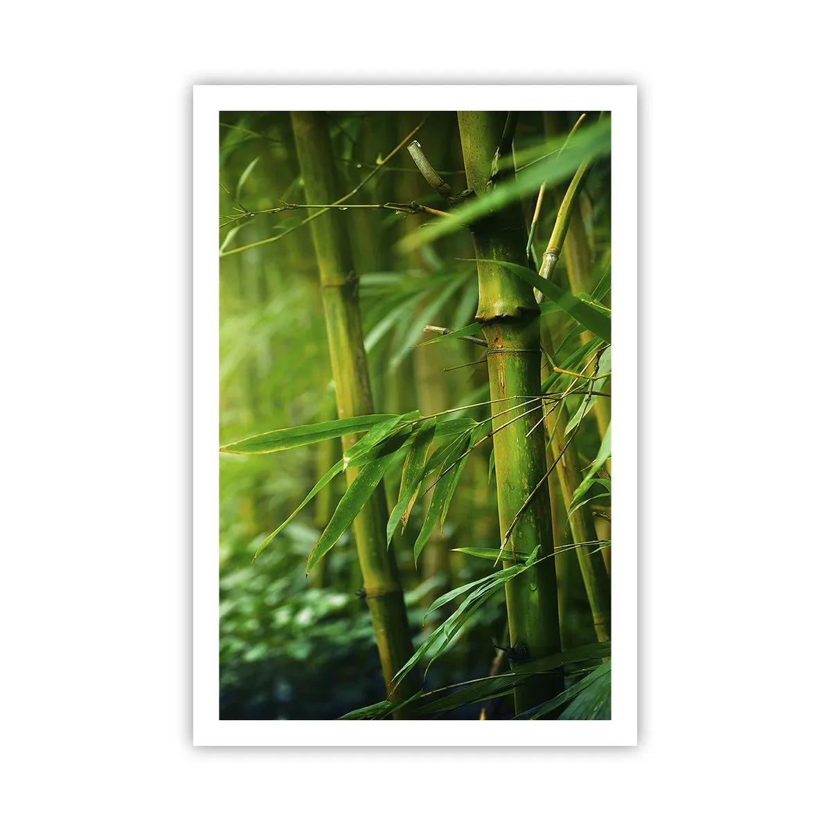 Poster - Lerne Grün selbst kennen - 61x91 cm
