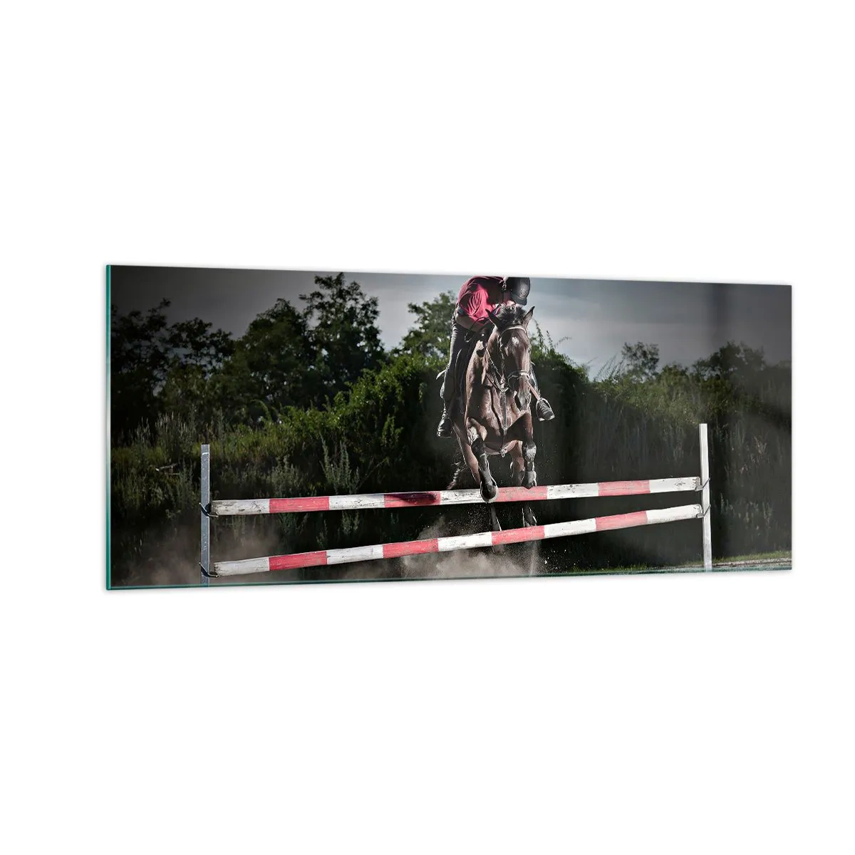 Glasbild - Bild auf glas - Gemeinsam zum Sieg - 100x40 cm