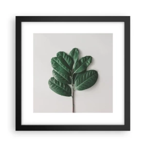 Poster in einem schwarzem Rahmen - Eine Zeichnung purer Natur - 30x30 cm