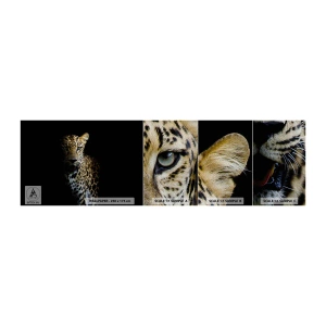 Fototapeten Muster Premium Sand - Dunkle Schönheit - Tiere, Leopard, Wilde Katze - 100x30 cm