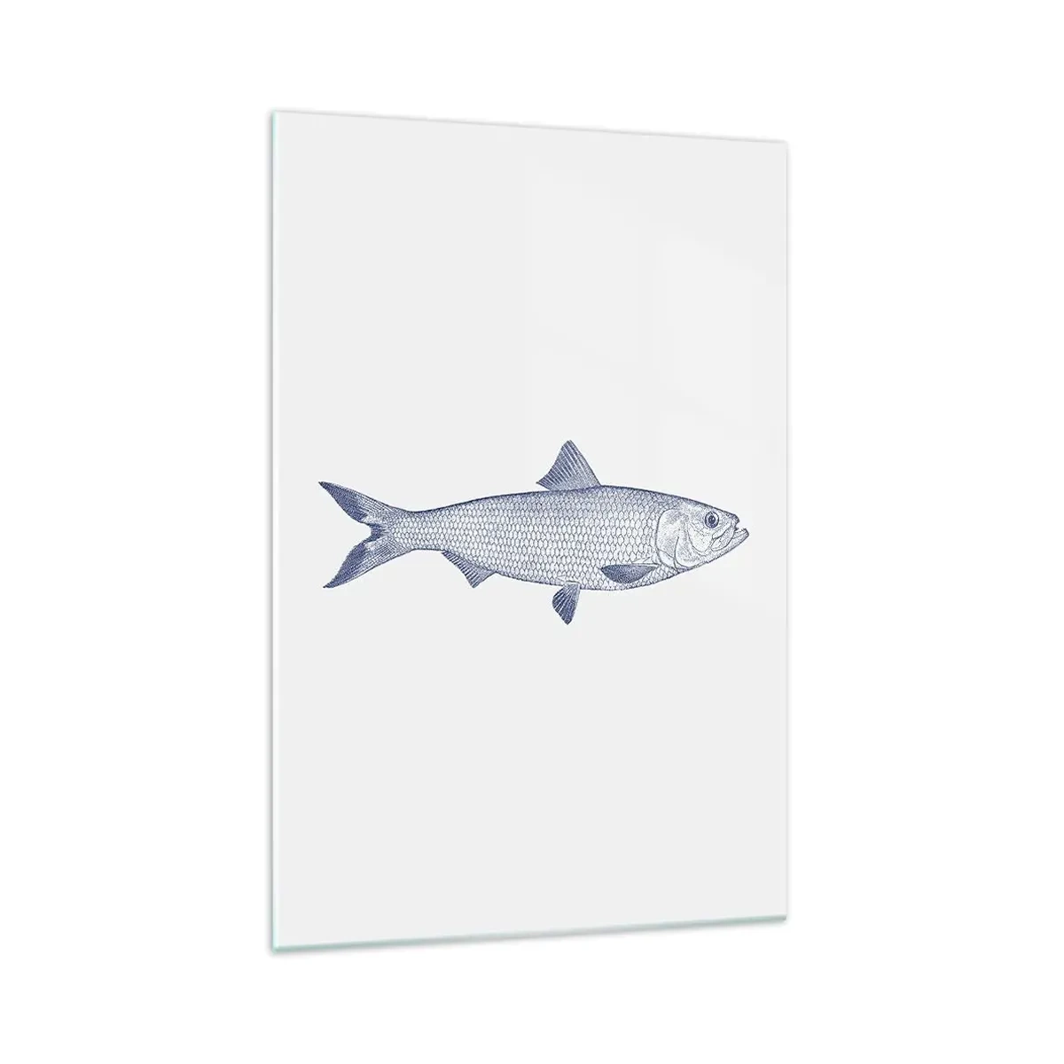 Glasbild - Bild auf glas - Illustration eines Fisches in Blautönen auf hellem Hintergrund - 70x100cm - Grüße aus den nördlichen Meeren - Moderne Wanddekoration für Wohnzimmer und Schlafzimmer ARTTOR