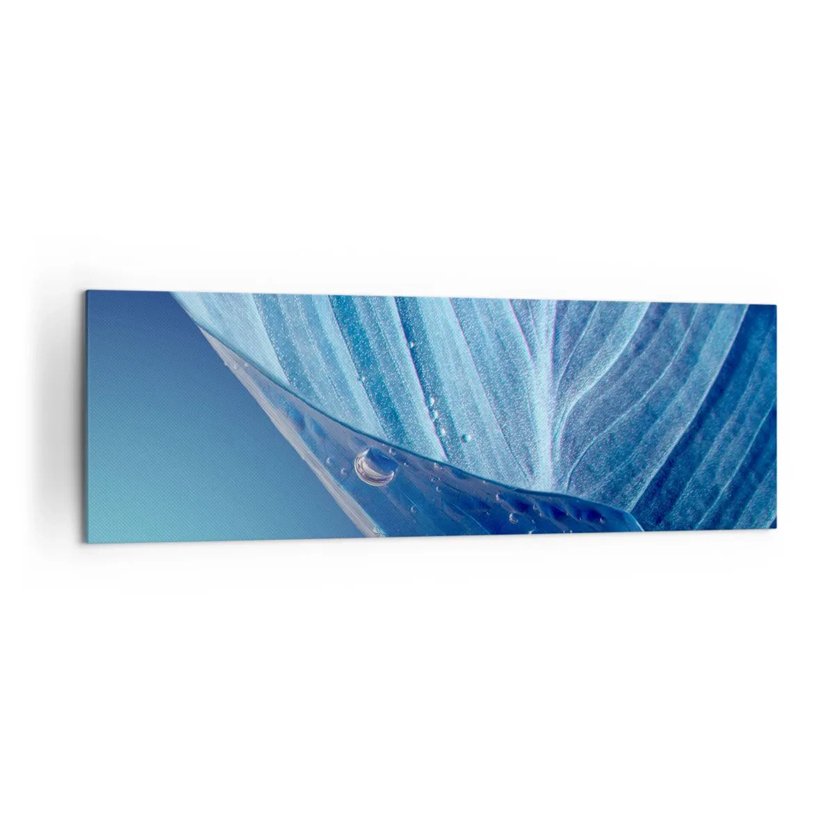 Bild auf Leinwand - Leinwandbild - Ein blaues Blatt mit sichtbaren Wassertropfen - 160x50cm - Versteckte Tropfen vom Blau - Moderne Wanddekoration für Wohnzimmer und Schlafzimmer ARTTOR