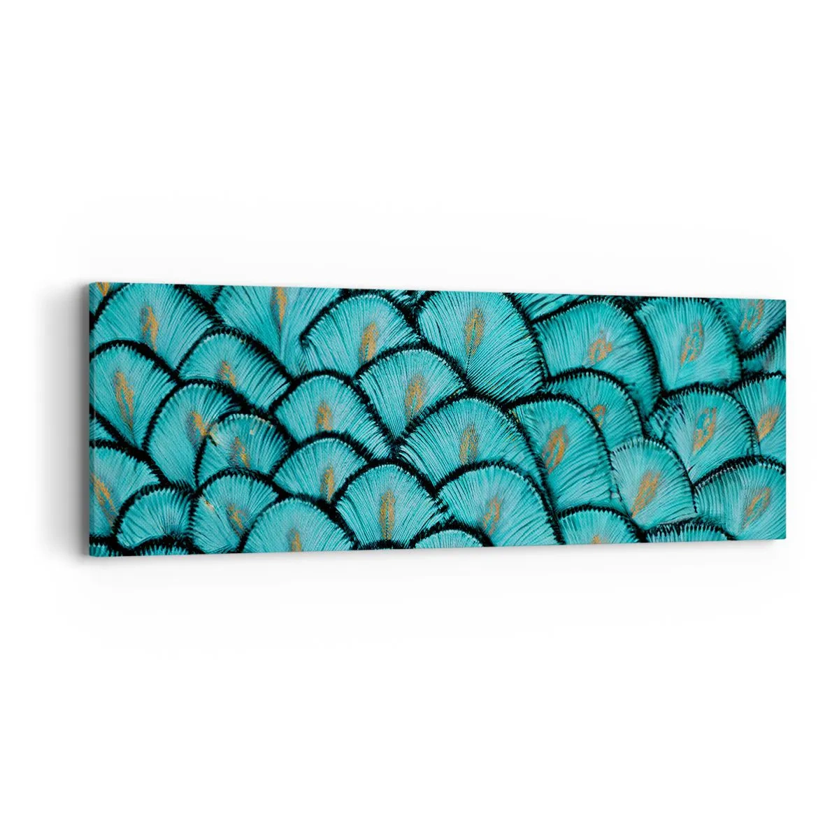 Bild auf Leinwand - Leinwandbild - Große Federgala - 90x30 cm