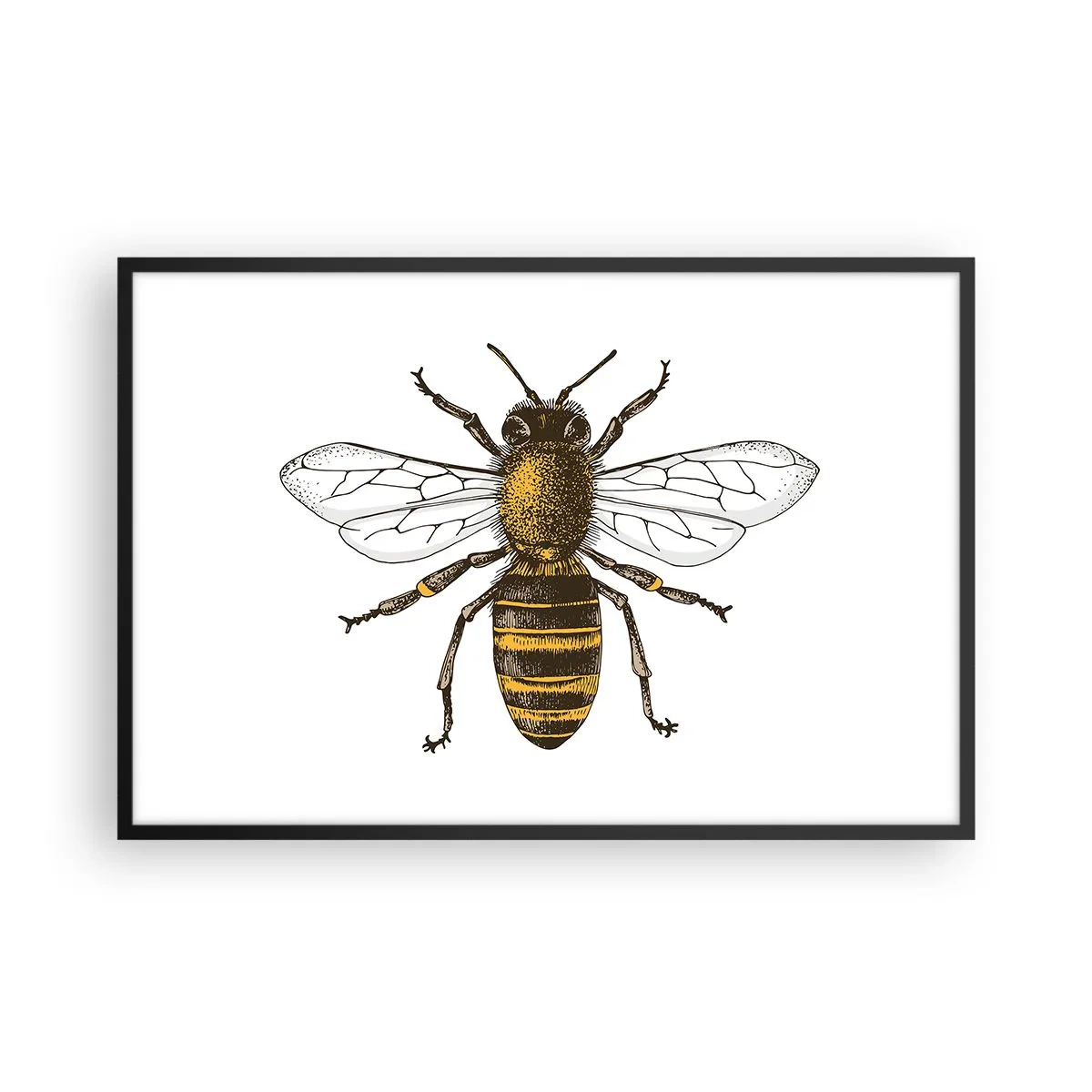 Poster in einem schwarzem Rahmen - Schön und gut - 91x61 cm