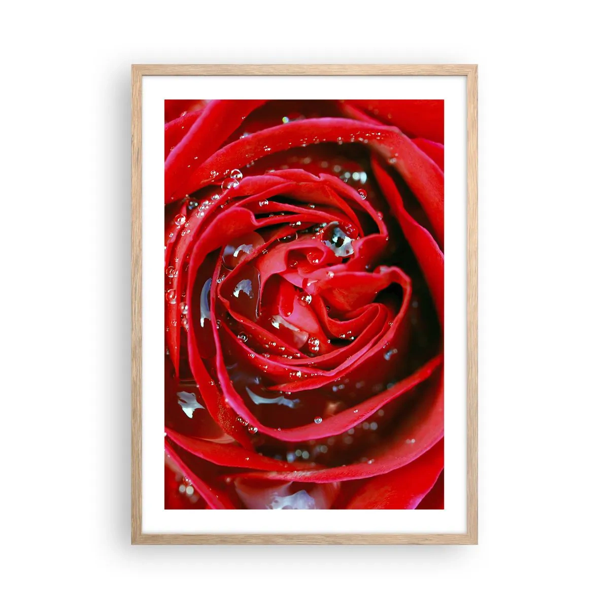 Poster in einem Rahmen aus heller Eiche - In den Tautropfen - 50x70 cm