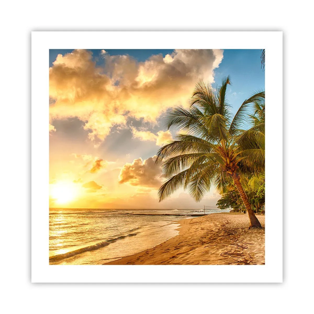 Poster - Ewiger Sommer, immer Urlaub - 50x50 cm
