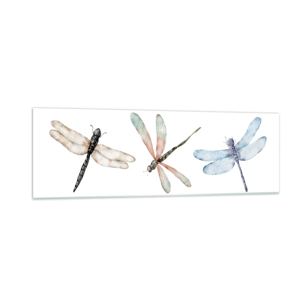Glasbild - Bild auf glas - Drei Libellen in zarten Pastellfarben - 160x50cm - Schwerelose Libellen - Moderne Wanddekoration für Wohnzimmer und Schlafzimmer ARTTOR