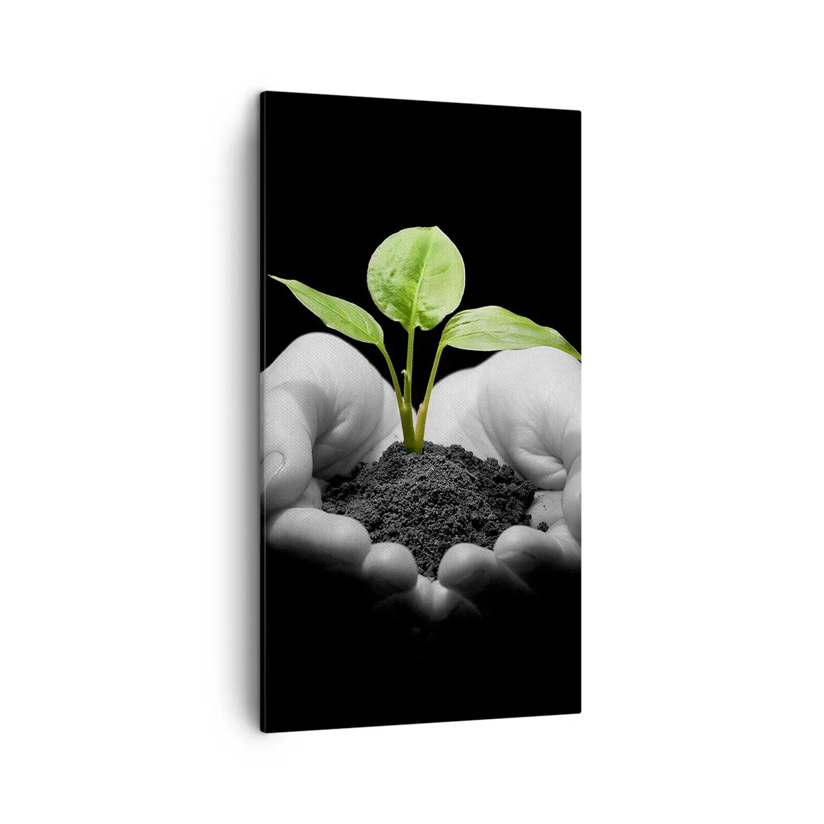 Bild auf Leinwand - Leinwandbild - Ich liebe die Natur, ich beschütze sie - 45x80 cm