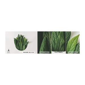 Fototapeten Muster Selbstklebend Deluxe Sticker - Ungebremste Neugier - Salbei, Salbeiblatt, Kraut - 100x30 cm