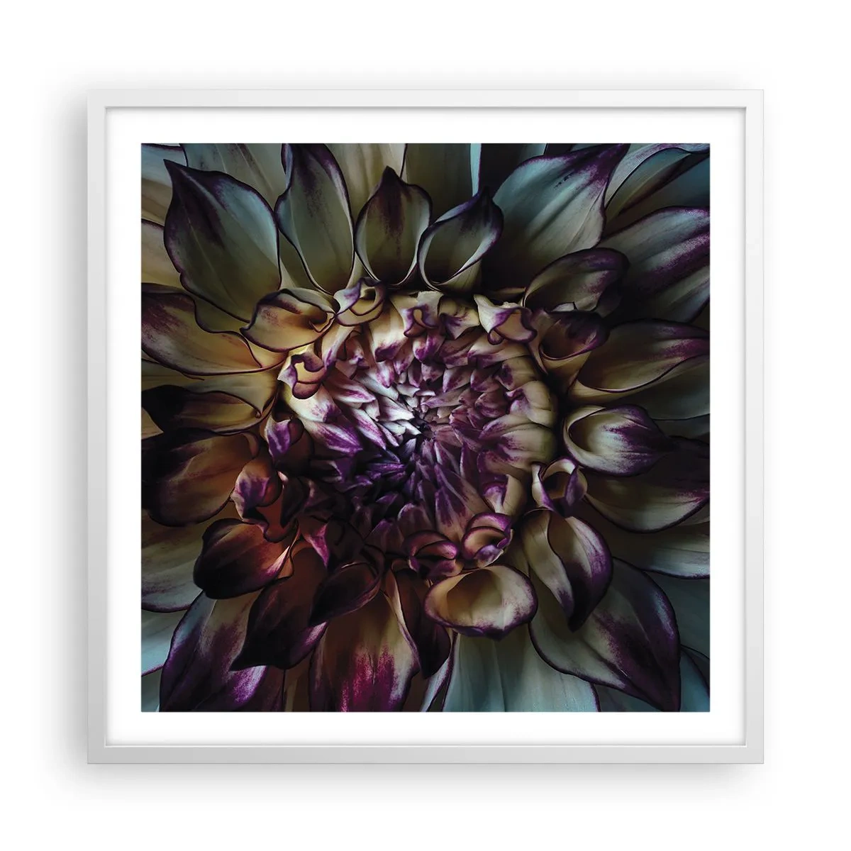 Poster in einem weißen Rahmen - Die Blütezeit der Jugend - 60x60 cm