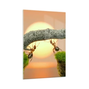 Glasbild - Bild auf glas - Ameisen bauen vor dem Hintergrund der untergehenden Sonne eine Brücke aus Ästen. - 70x100cm - Glücklich, zusammen arbeiten - Moderne Wanddekoration für Wohnzimmer und Schlafzimmer ARTTOR