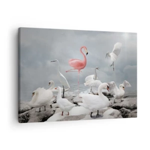 Bild auf Leinwand - Leinwandbild - Ein rosa Flamingo zwischen weißen Schwänen vor der Kulisse eines Sees - 70x50cm - Wie kam ich hier hin? - Moderne Wanddekoration für Wohnzimmer und Schlafzimmer ARTTOR
