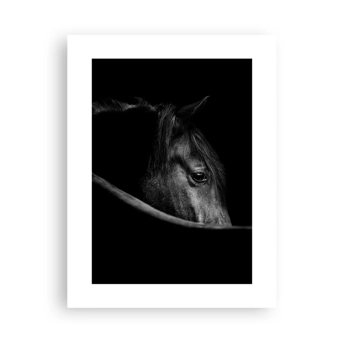 Poster - Schwarzer Prinz - 30x40 cm