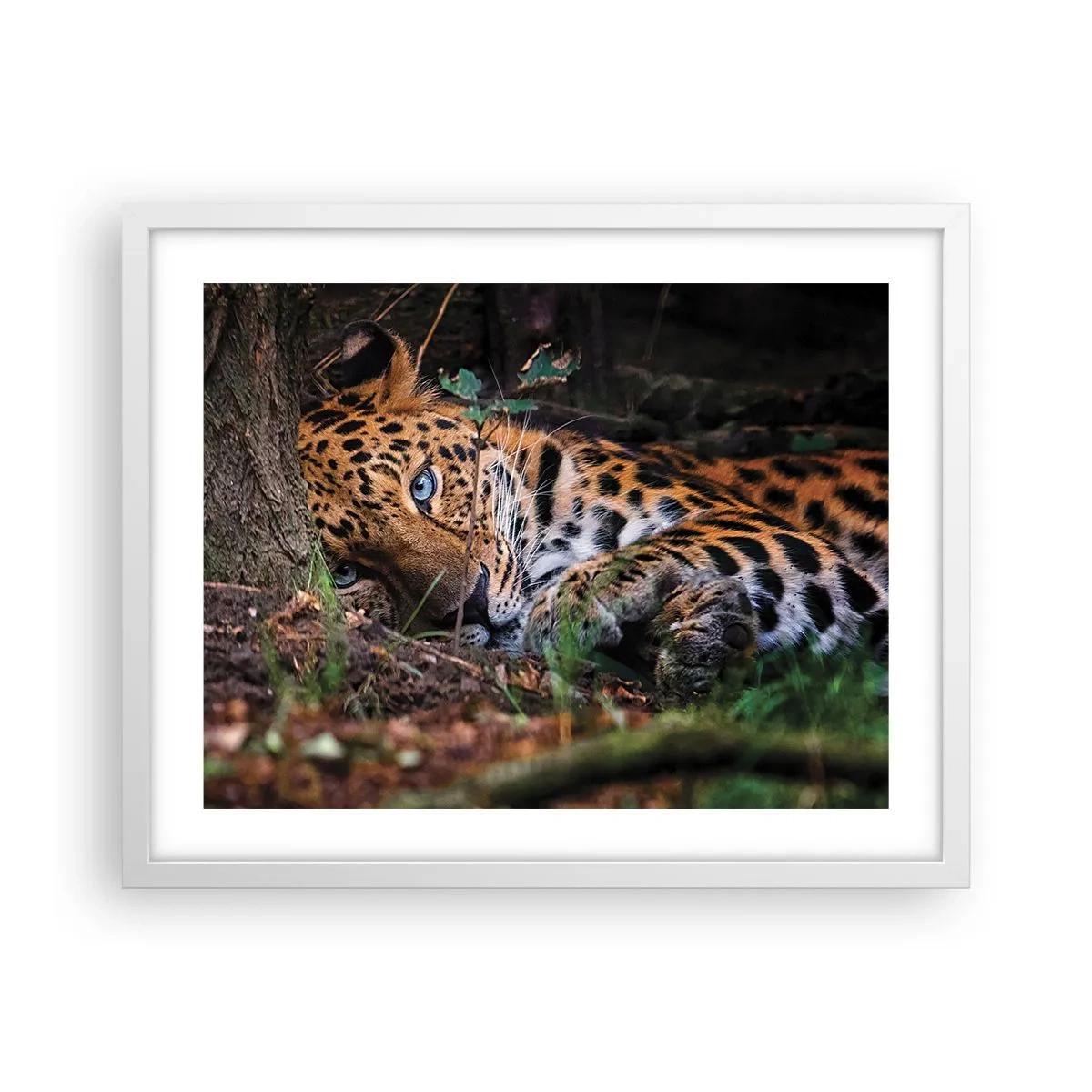 Poster in einem weißen Rahmen - Vertrau mir - 50x40 cm