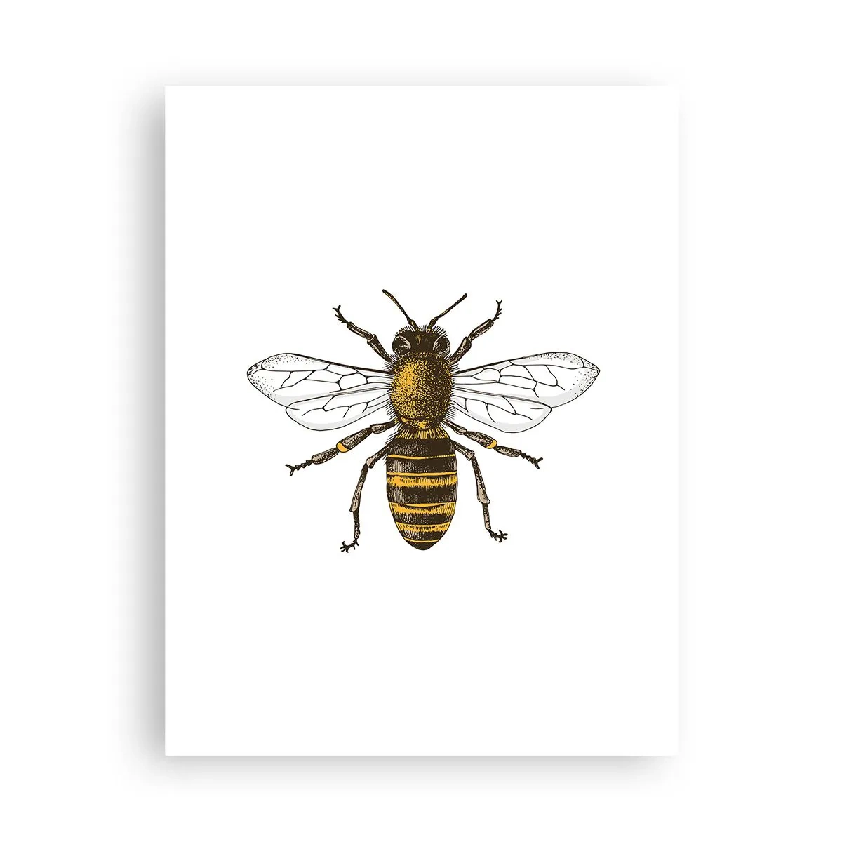 Poster - Schön und gut - 30x40 cm