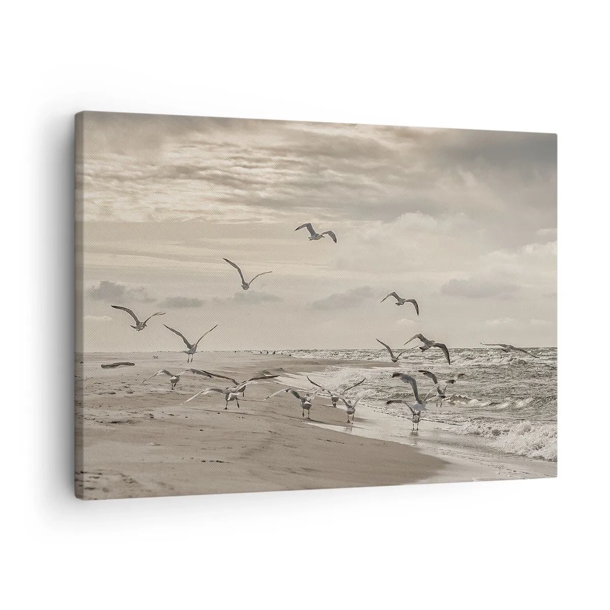 Bild auf Leinwand - Leinwandbild - Eine Möwe im Flug über einer Küstenlandschaft - 70x50cm - Meeresrauschen, Vogelgesang - Moderne Wanddekoration für Wohnzimmer und Schlafzimmer ARTTOR