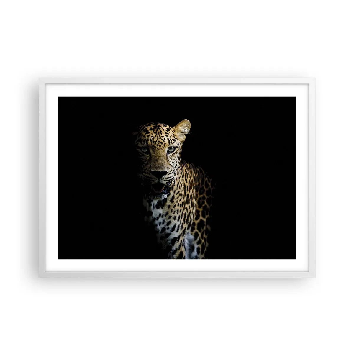 Poster in einem weißen Rahmen - Dunkle Schönheit - 70x50 cm