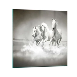 Glasbild - Bild auf glas - Weißer Wahnsinn - 30x30 cm