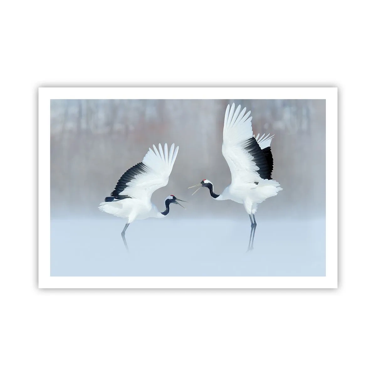 Poster - Tanz im Nebel - 91x61 cm