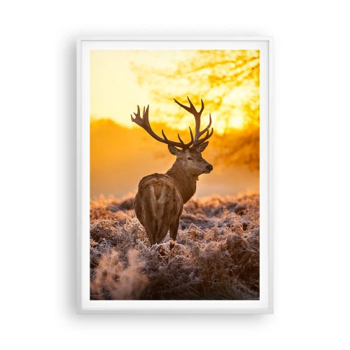 Poster in einem weißen Rahmen - König des Herbstwaldes - 70x100 cm