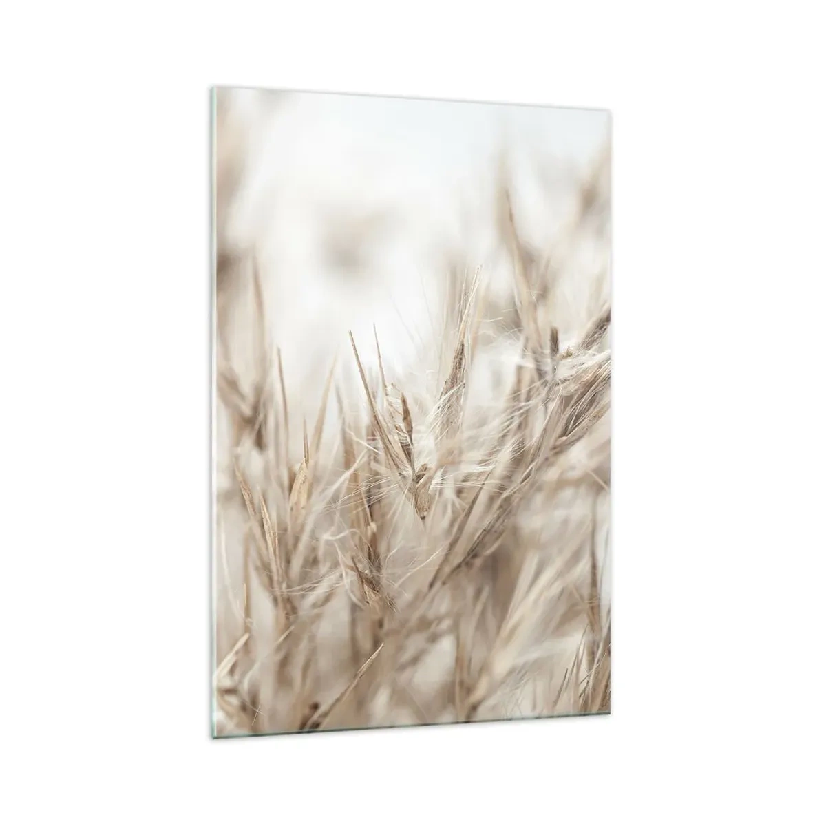 Glasbild - Bild auf glas - Wiese und Wind - 70x100 cm