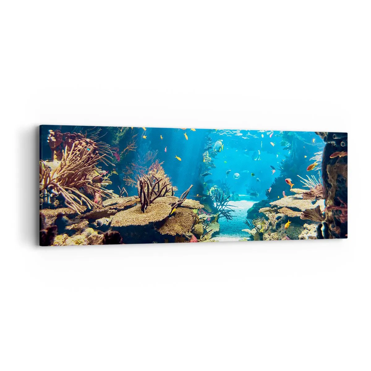 Bild auf Leinwand - Leinwandbild - Du hast es noch nicht einmal geträumt - 90x30 cm