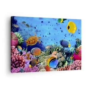 Bild auf Leinwand - Leinwandbild - Korallenriff mit bunten Fischen und einer Meeresschildkröte - 70x50cm - Und was wissen wir über das Leben ... - Moderne Wanddekoration für Wohnzimmer und Schlafzimmer ARTTOR
