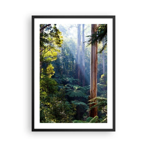 Poster in einem schwarzem Rahmen - Tropischer Regenwald im Sonnenlicht - 50x70cm - Ein Waldmärchen - Moderne Wanddekoration für Wohnzimmer und Schlafzimmer ARTTOR