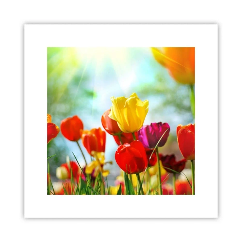 Poster - Alle Farben der Sonne - 30x30 cm