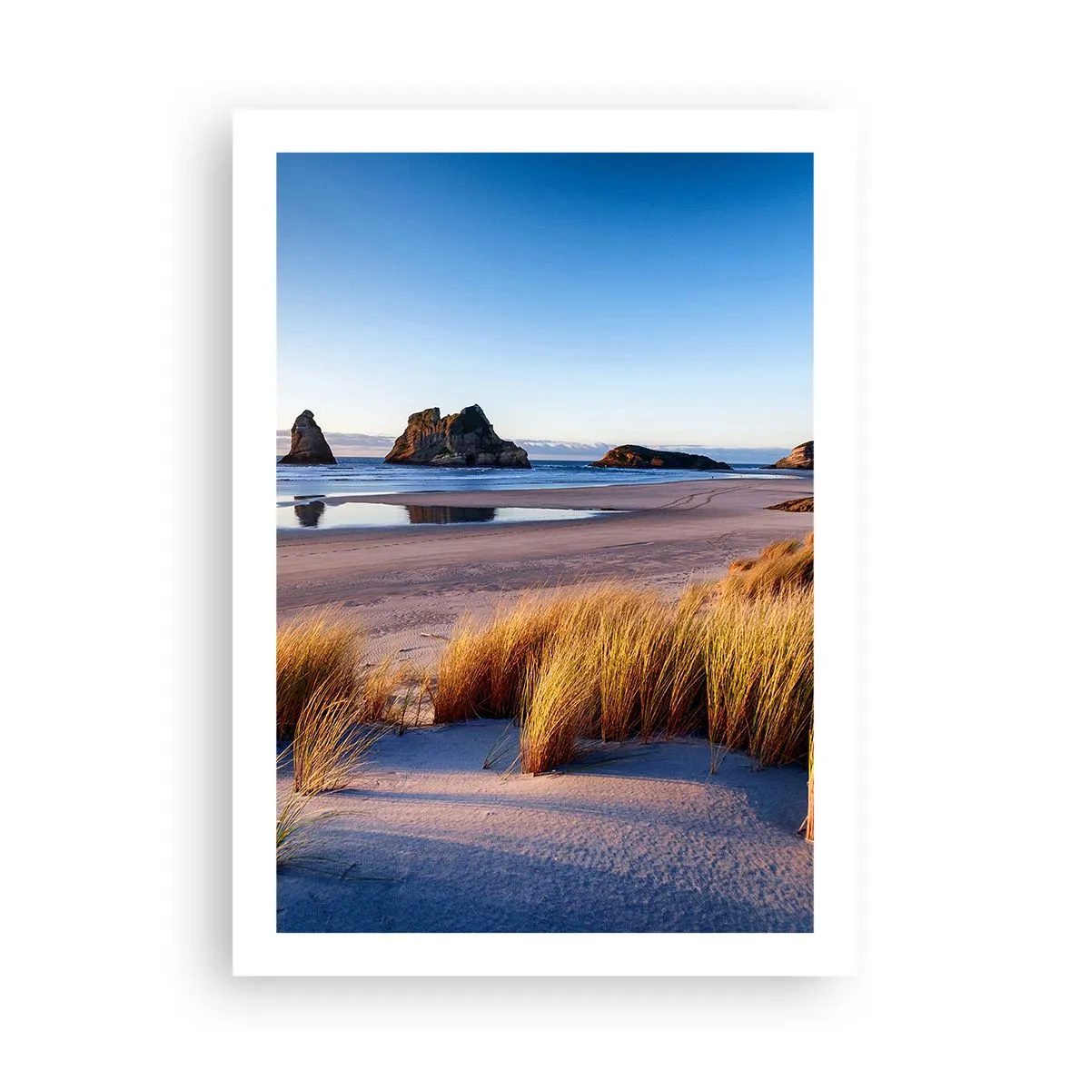 Poster - Ein malerischer Strand mit Gräsern und Felsen vor der Kulisse eines ruhigen Ozeans - 50x70cm - Für Friedenssuchende - Moderne Wanddekoration für Wohnzimmer und Schlafzimmer ARTTOR