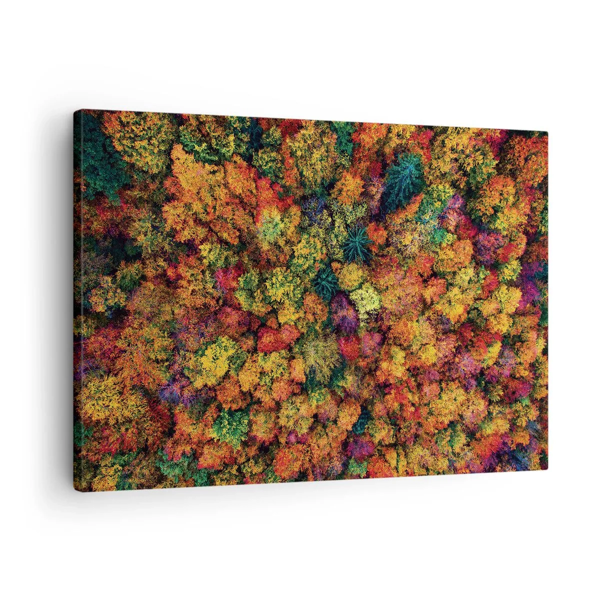 Bild auf Leinwand - Leinwandbild - Bunte Baumkronen in der Herbstpalette - 70x50cm - Blumenstrauß aus Herbstbäumen - Moderne Wanddekoration für Wohnzimmer und Schlafzimmer ARTTOR