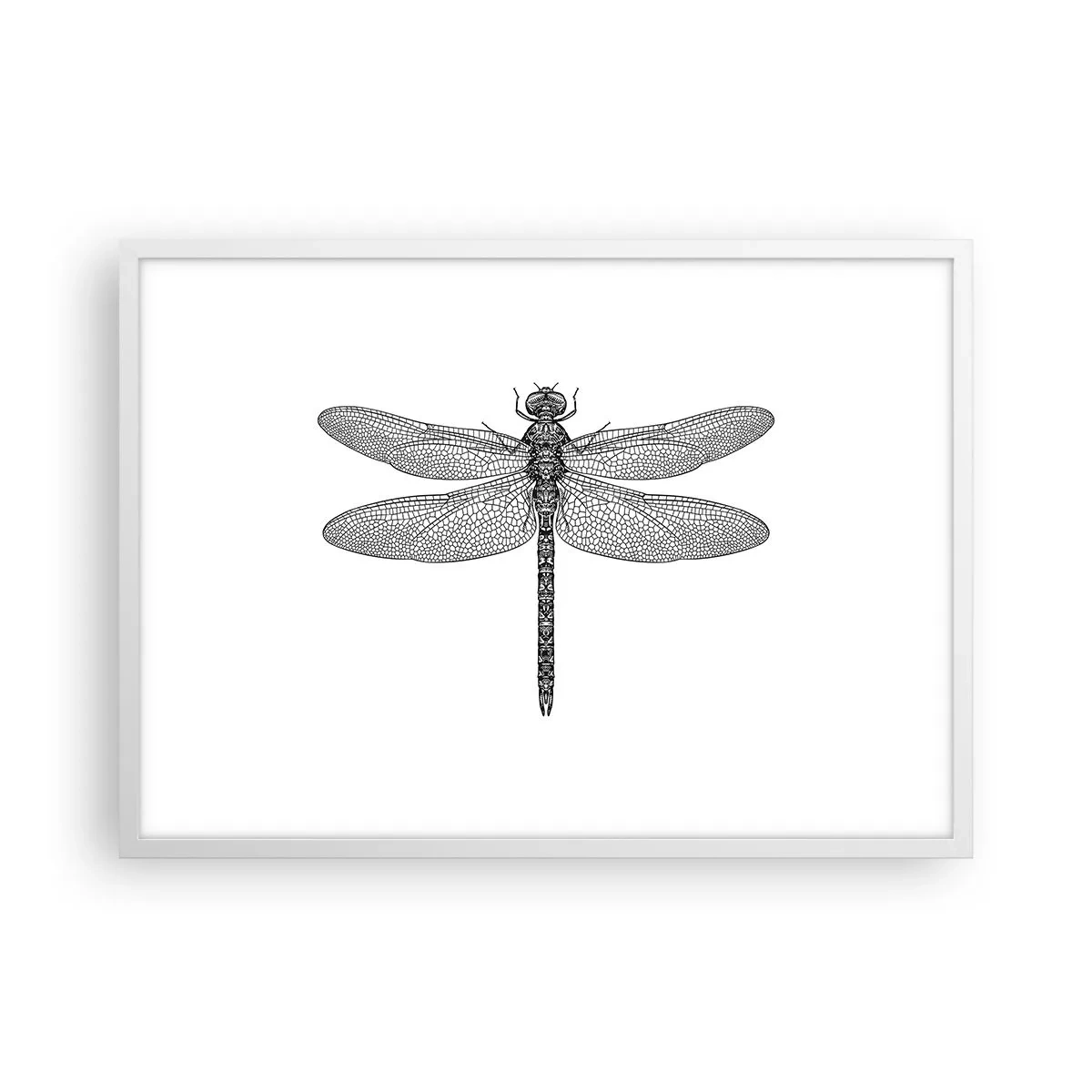 Poster in einem weißen Rahmen - Präzision der Natur - 70x50 cm