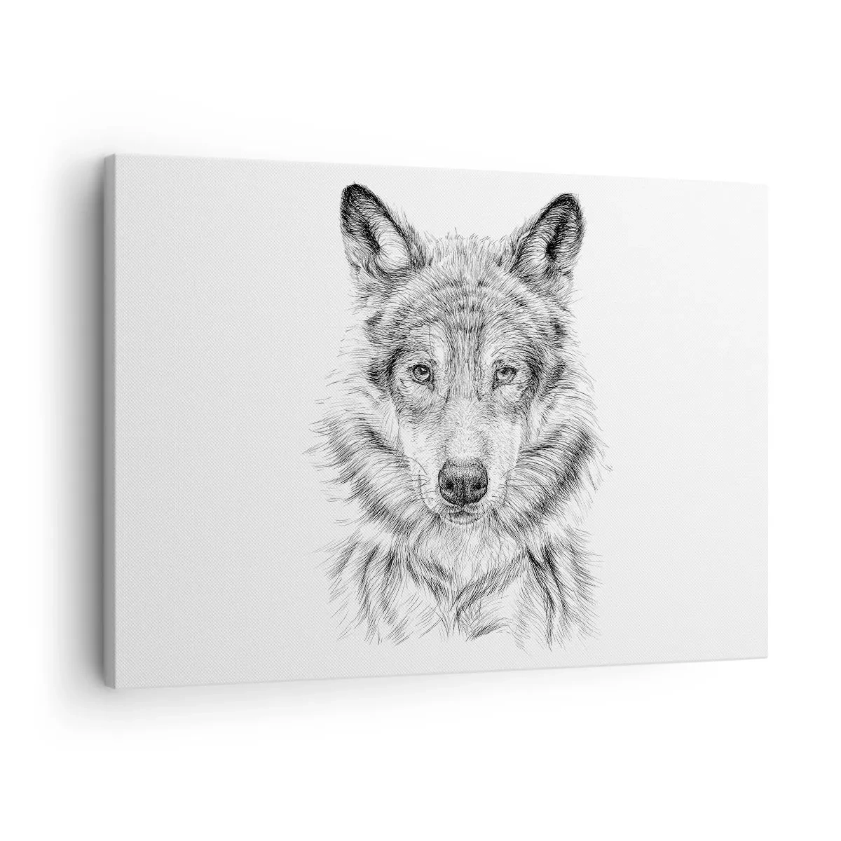 Bild auf Leinwand - Leinwandbild - Skizze eines Wolfskopfes im monochromen Stil auf weißem Hintergrund - 70x50cm - Ein geborener Anführer - Moderne Wanddekoration für Wohnzimmer und Schlafzimmer ARTTOR