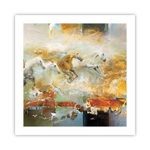 Poster - Im Galopp durch das Licht - 50x50 cm