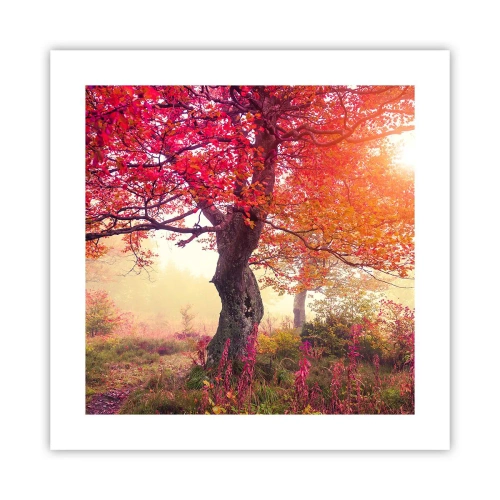 Poster - Blühende Raserei - 40x40 cm