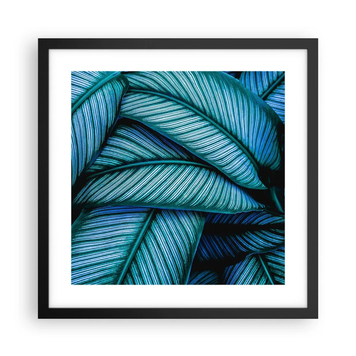 Poster in einem schwarzem Rahmen - Lebenslinien - 40x40 cm