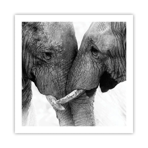 Poster - Herzliches Geständnis - 60x60 cm