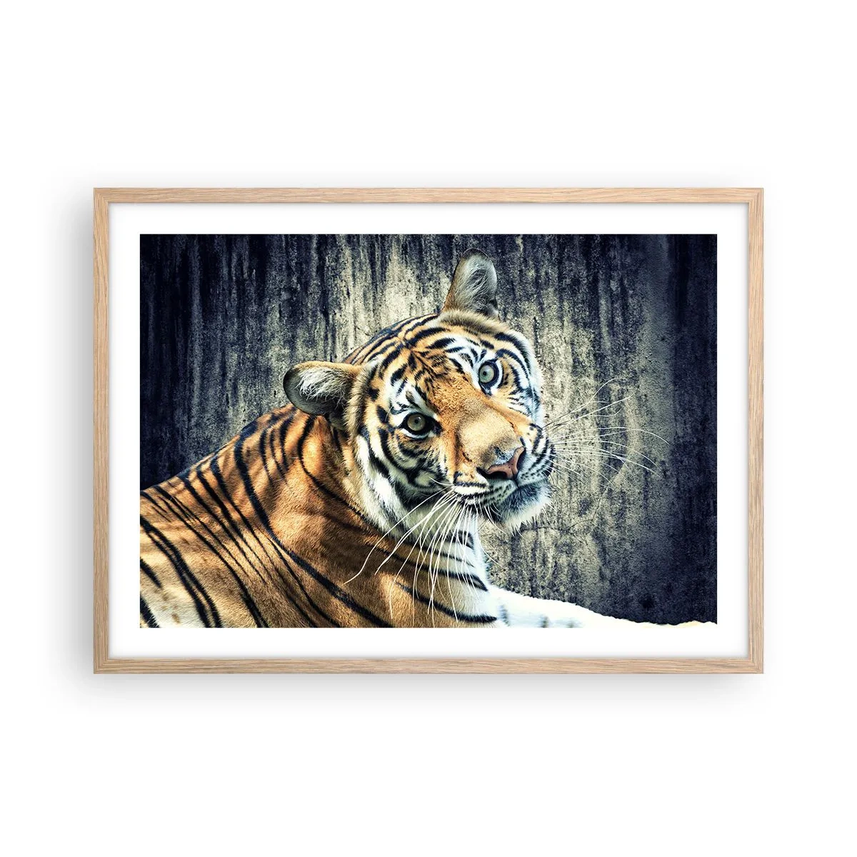 Poster in einem Rahmen aus heller Eiche - Portrait in Lichtstrahlen - 70x50 cm