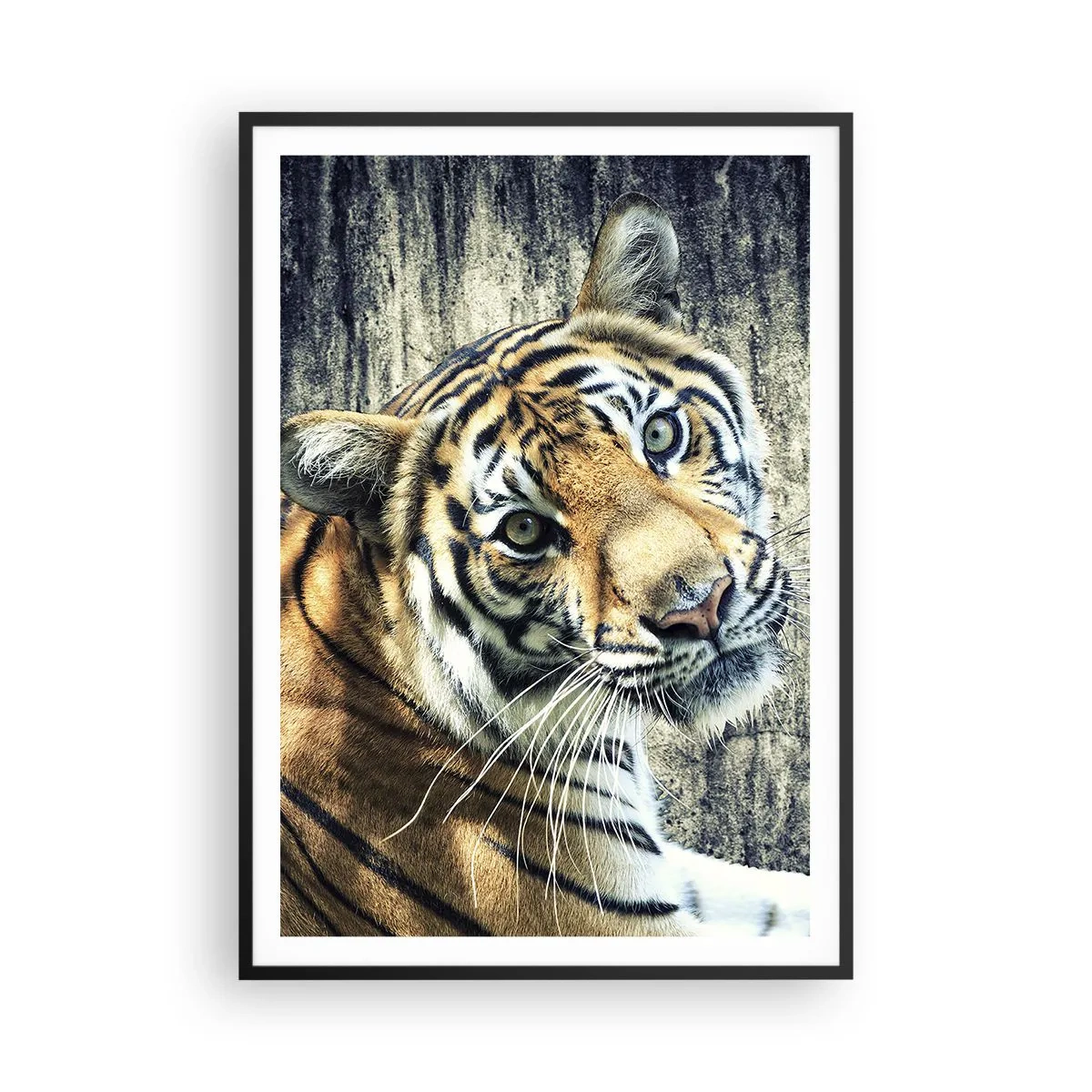 Poster in einem schwarzem Rahmen - Portrait in Lichtstrahlen - 70x100 cm