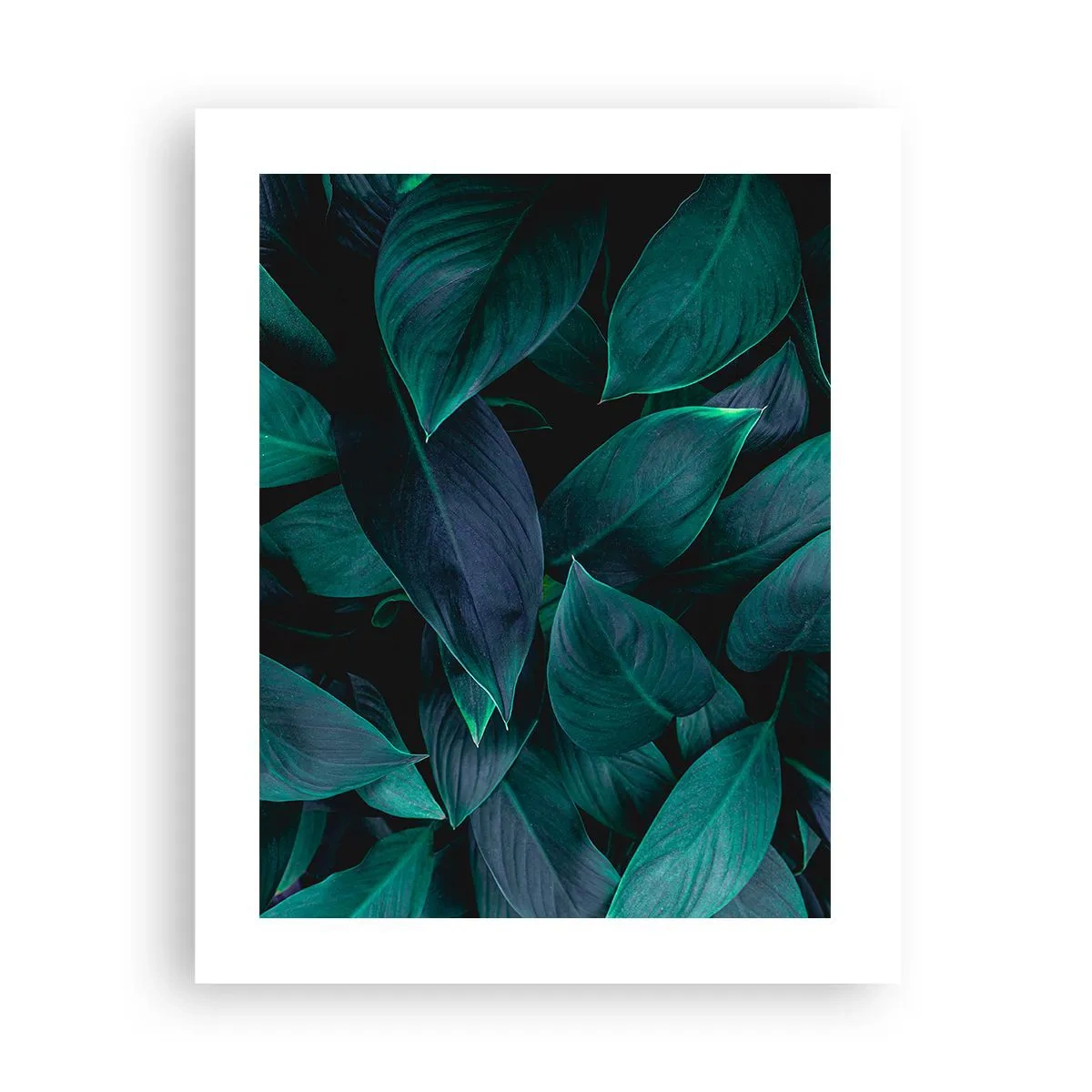 Poster - Grün in sich selbst - 40x50 cm